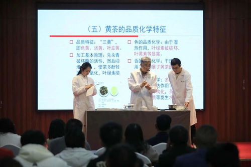 非遺活態(tài)傳承新篇章 黔北黃茶技藝選定黔東南代言人，推動(dòng)茶文化深度交流